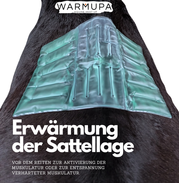 WARMUPA - Equine Heat Up